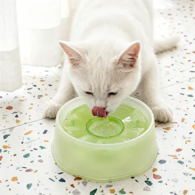 Cat Drinking from Green Floating Pet Water Bowl White cat drinking from green floating pet water bowl with anti-wet-mouth design