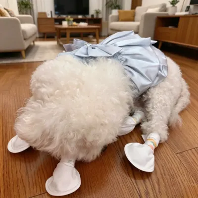 Small dog wearing disposable pet shoe covers on wooden floor