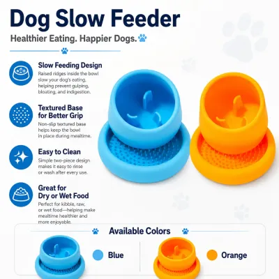 Dog Slow Feeder Bowl Benefits Anti Gulping Healthy Eating Design Infographic showing dog slow feeder bowl benefits including slow eating textured base and easy cleaning features