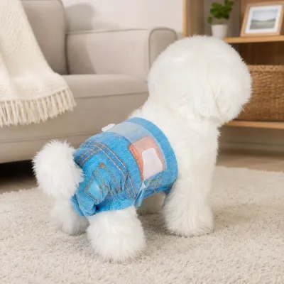 Real-life indoor scene showing a small dog wearing a disposable female diaper, highlighting comfort, secure fit, and everyday usability for pet owners. small white dog wearing blue disposable female diaper indoor living room comfortable leak proof pet diaper use