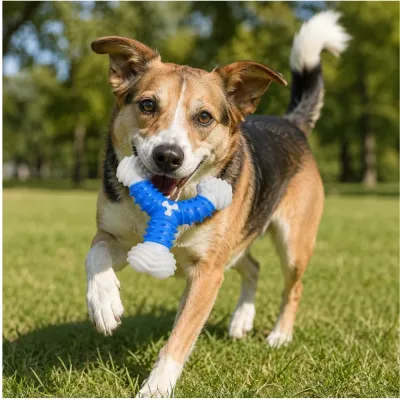 Blue Nylon Rubber Dog Chew Toy Single Product White Background Blue Y shaped durable dog chew toy isolated on white background showing textured rubber design