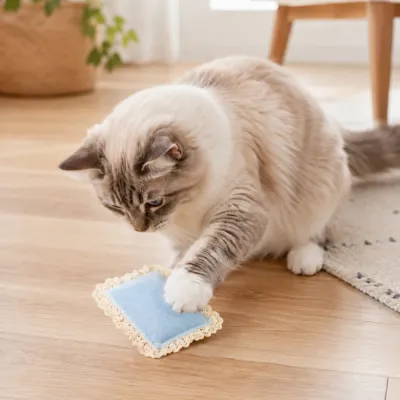 Cat Playing with Blue Catnip Pillow Toy Indoors Cat pawing a blue lace catnip pillow toy on wooden floor in a cozy indoor home setting