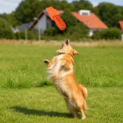 Dog Playing with Treat Dispensing Chew Toy Outdoors Dog jumping outdoors to catch an orange treat dispensing chew toy on grass, suitable for active play and reward training