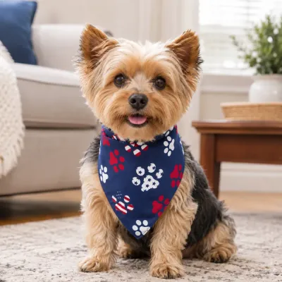 Dog Wearing Paw Patriot Pet Bandana Small dog wearing a blue Paw Patriot polyester pet bandana with red and white paw print pattern indoors