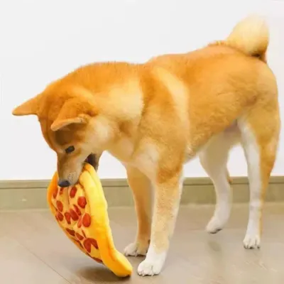 Dog Playing with Pizza Plush Toy Shiba Inu dog playing indoors with a yellow pizza plush squeaky toy