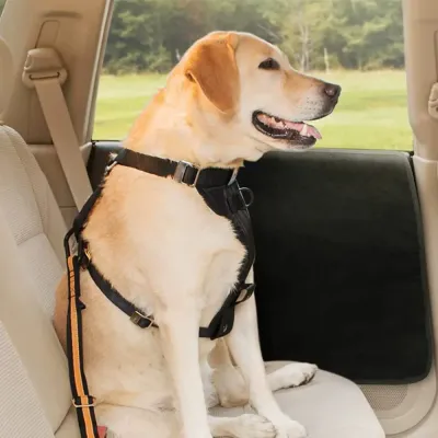 Dog sitting in car with black dog car door protector installed on the vehicle door