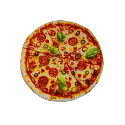 Plush pizza dog toy with realistic topping design on white background