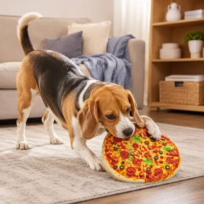 Dog Playing with Plush Pizza Toy Indoors Beagle dog playing with plush pizza squeaky toy in living room