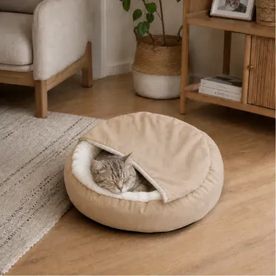 Cat sleeping inside a beige shell cat bed in a warm living room setting