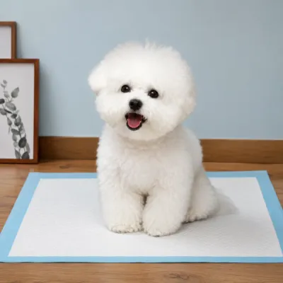 Wholesale Puppy Training Pad Indoor Use White small dog sitting on a blue dog pee pad indoors for house training and daily pet care