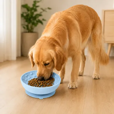 Golden retriever eating kibble from a blue silicone slow feeder bowl on an indoor floor.