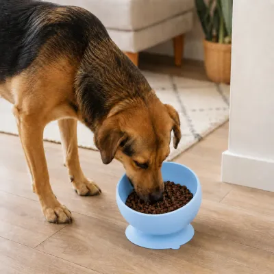 Dog eating kibble from a blue silicone slow feeder bowl on an indoor floor