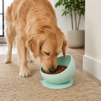 Golden retriever eating kibble from a green silicone slow feeder dog bowl with suction base indoors