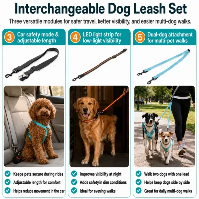Interchangeable dog leash modules for car safety, LED visibility, and walking two dogs with one lead