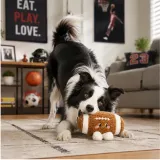 Dog Playing with American Football Plush Toy Indoors Border collie playing with an American football plush dog toy in a sporty home living room
