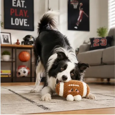 Border collie playing with an American football plush dog toy in a sporty home living room