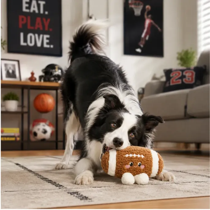 Dog Playing with American Football Plush Toy Indoors Border collie playing with an American football plush dog toy in a sporty home living room
