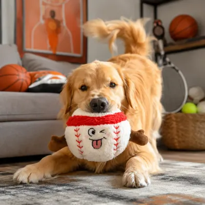 Golden retriever playing with baseball plush dog toy in a sporty home living room