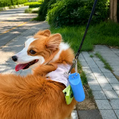 Dog Poop Bag Holder Attached to Dog Leash Dog poop bag holder attached to dog leash for convenient outdoor walks