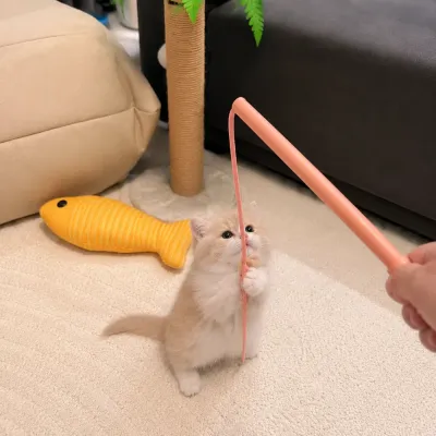Cat playing with a mouse tail teaser wand toy for exercise and interactive fun