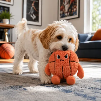 Dog Playing with Basketball Plush Toy Indoors Small dog playing with basketball plush toy indoors during interactive playtime
