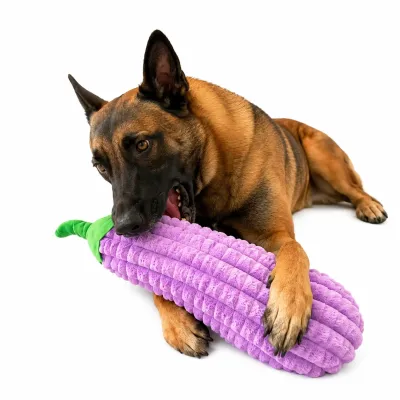 Giant Eggplant Plush Dog Toy for Large Dogs Large dog playing with a giant purple eggplant plush dog toy