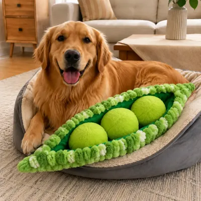 Golden Retriever Playing with Plush Pea Pod Dog Toy Dog playing with giant pea pod plush toy at home
