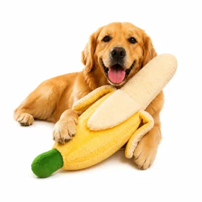 Large dog playing with giant banana plush squeaky dog toy on white background
