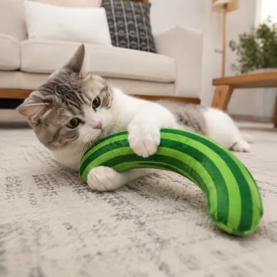 Cat Playing with Rainbow Plush Interactive Toy Indoors Cat playing with a rainbow plush interactive toy on carpet at home