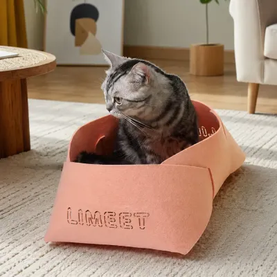 Cat Relaxing in a Comfortable Felt Cat Bed Indoor cat sleeping and relaxing in a soft felt cat bed at home