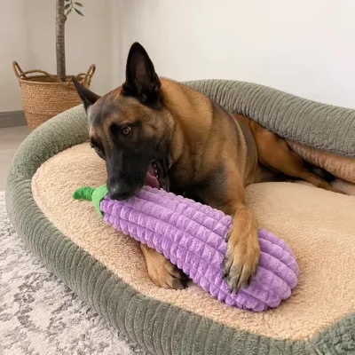Dog Playing with Giant Eggplant Plush Toy at Home Dog relaxing in a pet bed while playing with a giant eggplant plush toy