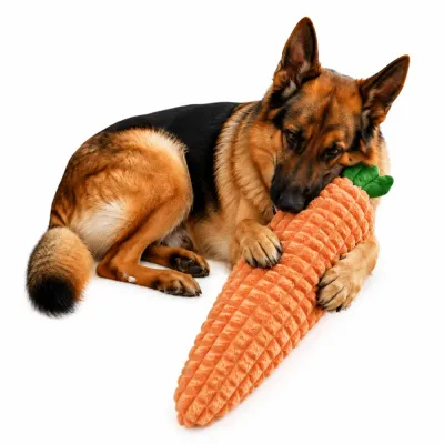 Dog Playing with Giant Carrot Squeaky Toy Dog holding giant carrot squeaky plush toy for chewing and interactive play