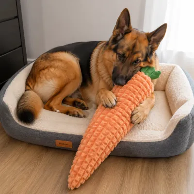 German Shepherd Playing with Giant Carrot Plush Toy German shepherd dog playing with giant carrot plush dog toy on pet bed