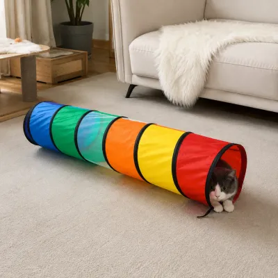 Cat Playing Inside Rainbow Tunnel at Home Cat playing inside a rainbow tunnel toy in a modern indoor living room