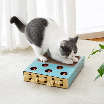 Gray and white cat scratching and playing with a whack-a-mole cat toy indoors