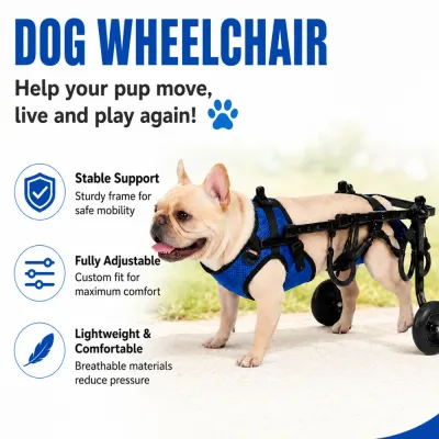 Adjustable Dog Wheelchair for Rear Leg Support Small dog wearing an adjustable rear support wheelchair with a breathable blue harness, sturdy frame and lightweight wheels.