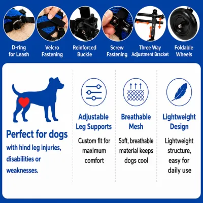 Dog Wheelchair Adjustable Features and Support Design Dog wheelchair feature diagram showing leash D-ring, Velcro straps, reinforced buckle, screw fastening, adjustable bracket, foldable wheels and breathable mesh.
