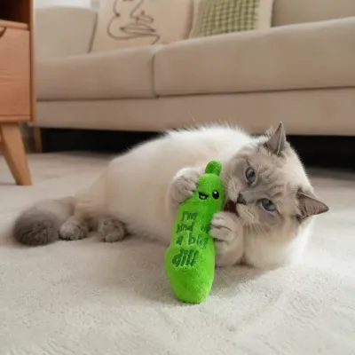 Cat Playing with Dill Pickle Plush Cat Toy Cat playing with a green dill pickle plush cat toy in a home environment