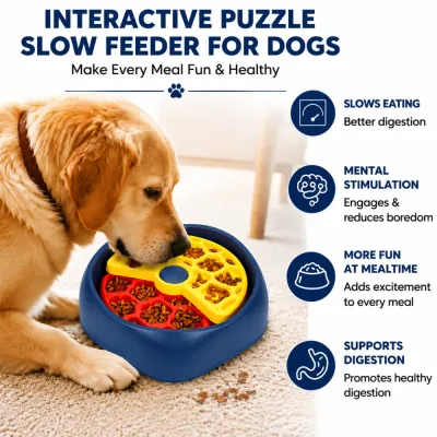 Dog Using Interactive Slow Feeder Puzzle Bowl dog eating from an interactive slow feeder puzzle bowl at home