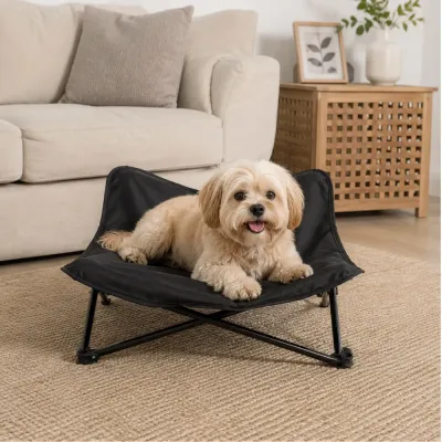 Small dog resting on a black elevated pet bed with durable raised frame in a modern living room