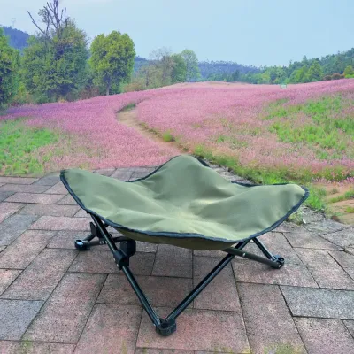Green elevated pet bed used outdoors with foldable frame for dogs and cats