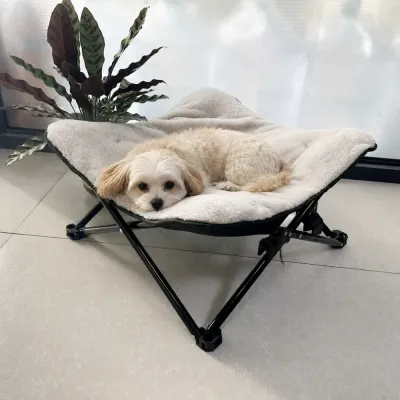 Small Dog Resting on Raised Pet Bed Small dog relaxing on a raised elevated pet bed with soft cushion surface