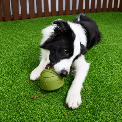 Interactive Dog Enrichment Toy