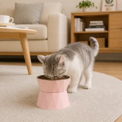 Pink Elevated Cat Bowl with Stainless Steel Insert Gray and white cat eating from a pink elevated pet bowl with a removable stainless steel insert