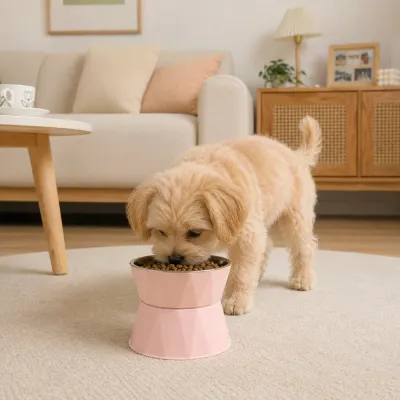 Pink Elevated Dog Bowl for Small Dogs Small dog eating dry food from a pink elevated stainless steel pet bowl in a modern living room