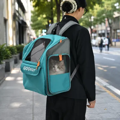 Cat Travel Backpack for Outdoor Trips Cat sitting inside a teal mesh pet carrier backpack worn by a person outdoors