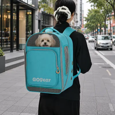 Person carrying a small dog in a ventilated teal pet travel backpack on a city street