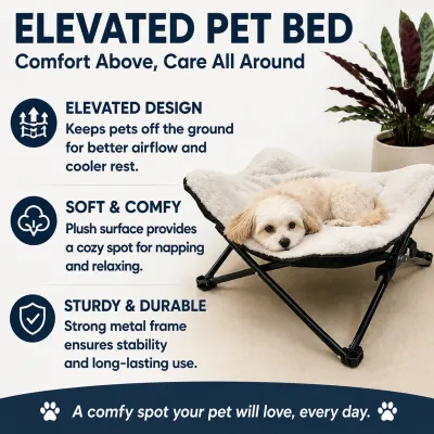 Elevated Pet Bed with Soft Cushion and Sturdy Metal Frame Small dog resting on a soft elevated pet bed with a sturdy metal frame for improved airflow and comfortable indoor sleeping.