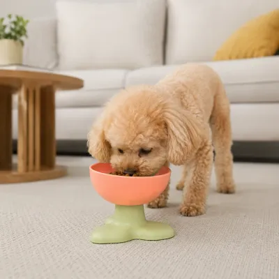 Small Dog Using Elevated Tilted Food Bowl Small dog eating dry food from a pink and green elevated tilted pet bowl in a living room