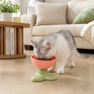 Cat Using Three Leaf Elevated Food Bowl Silver cat eating from a pink and green three leaf elevated pet bowl on a wooden floor